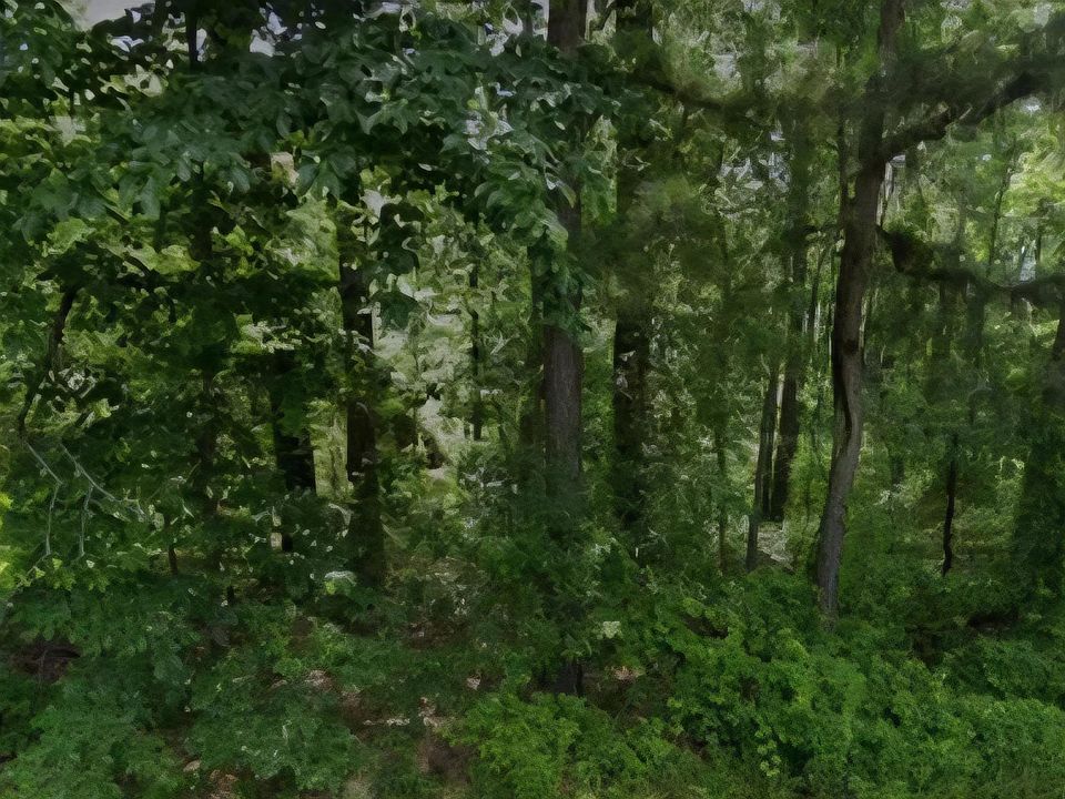 1st image of LOT 9 N Norman St