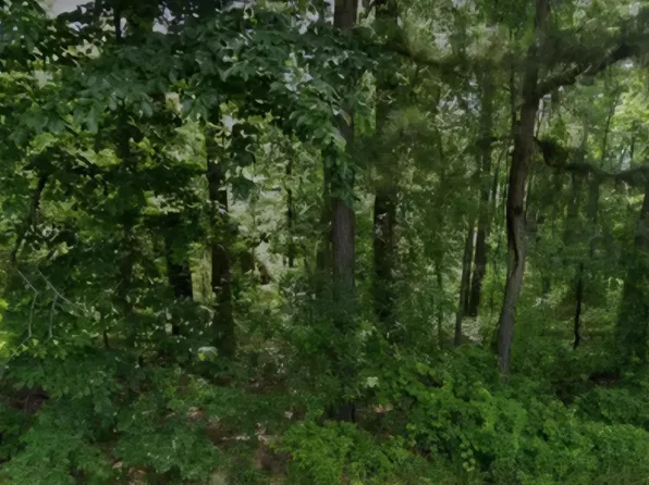LOT 9 N Norman St, White Hall, AR 71602