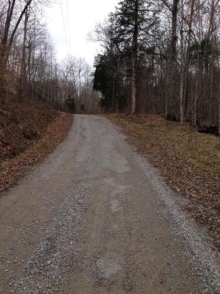 2nd image of Buffalo Cove Rd