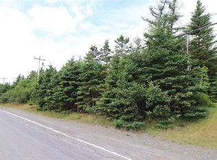 198 B Conception Bay Hwy, Spaniard'S Bay, NL A0A3X0