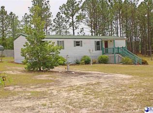 1965 Chewning Rd, Patrick, SC 29584