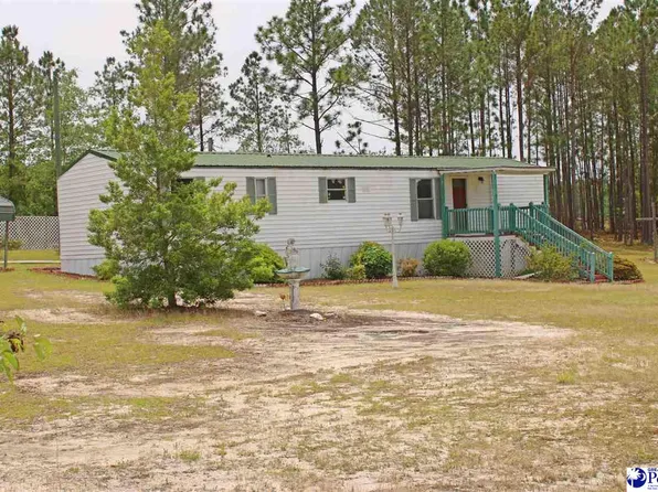 1965 Chewning Rd, Patrick, SC 29584