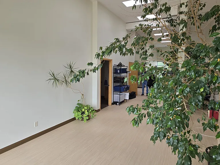425 Cedar Ave #2 — Photo 7