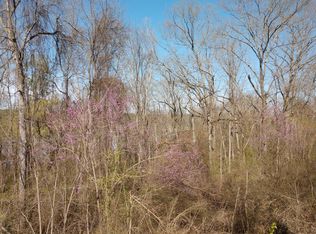 0 Mountain View Rd, Locust Grove, AR 72550