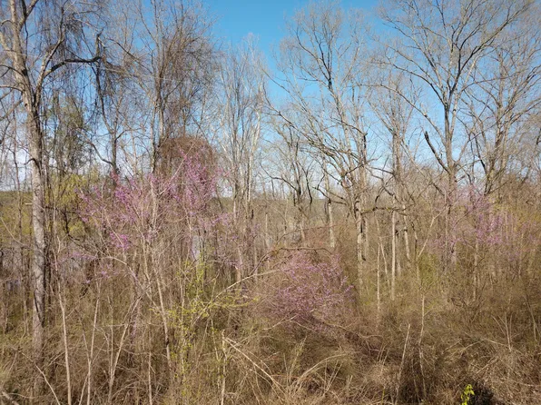 0 Mountain View Rd, Locust Grove, AR 72550