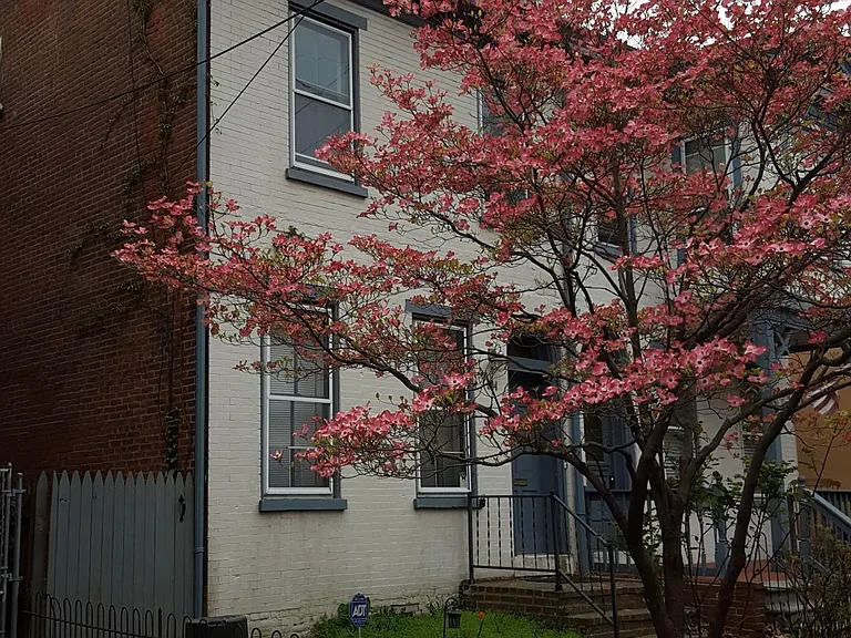804 W 10th St — Photo 1