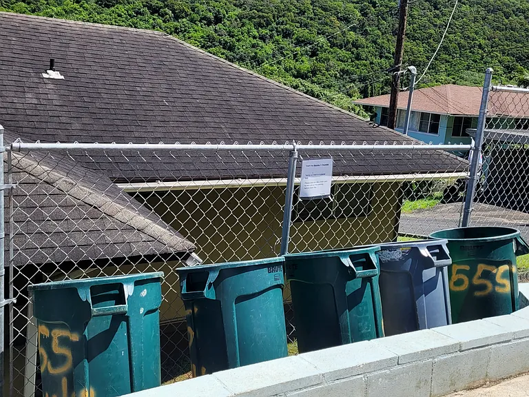 1555 Pahulu St E — Photo 19