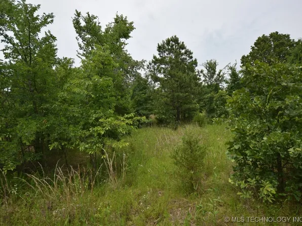 1 S 4503rd Rd, Vian, OK 74962