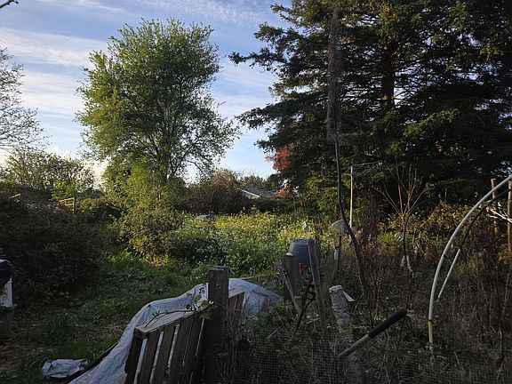 4th image of 1495 School Rd
