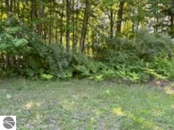 N/a Huron Woods Dr, Tawas City, MI 48763
