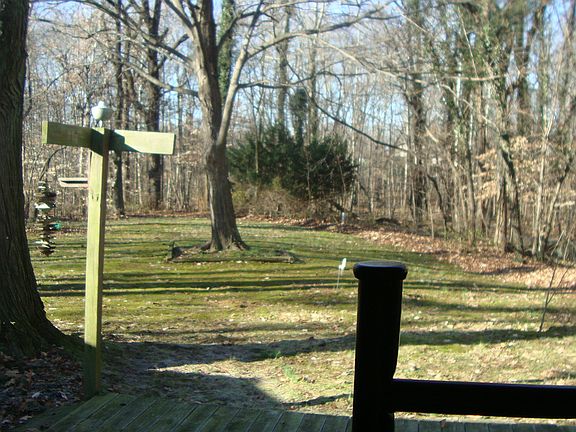 Back yard