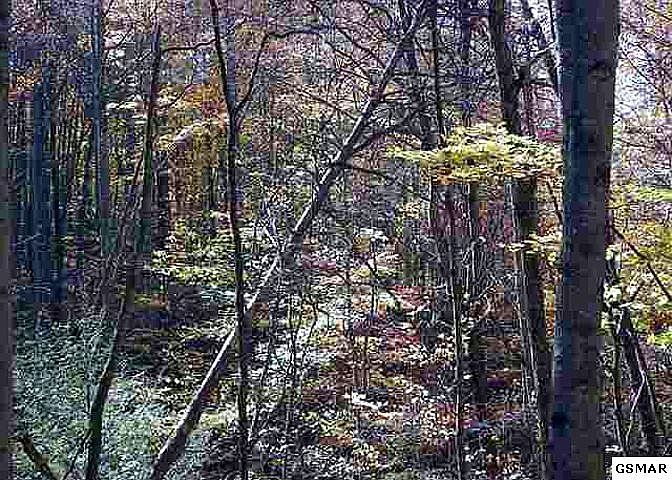1st image of 36 Valentine Branch Rd