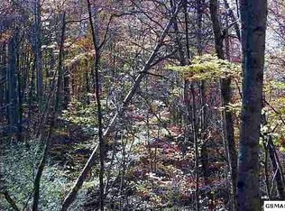 36 Valentine Branch Rd, Sevierville, TN 37876
