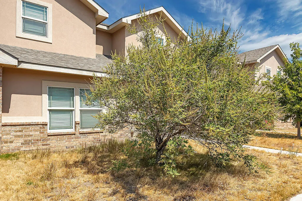3 bed, 2.0 bath, 1301 sqft, $2,500 — Photo 2