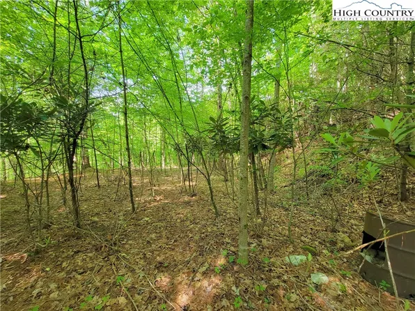 Lot 7/8 Smithey Rd, Crumpler, NC 28617