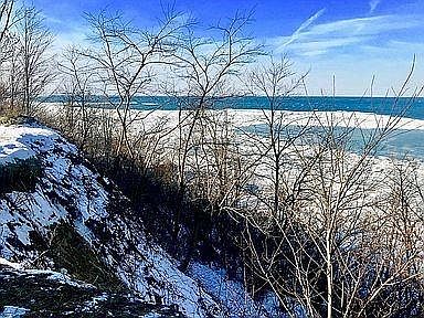 3rd image of 8230 Louisa Dr