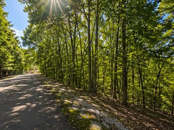 0 Swiper Dr Lot 51, Smithville, TN 37166
