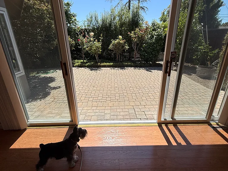 View of large sliding door opens to backyard from Family/Living room