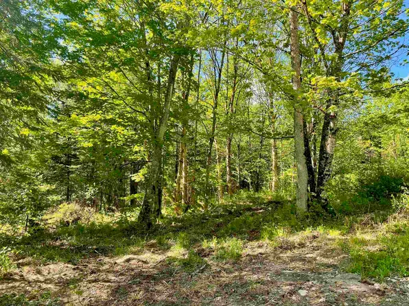 C5-56N-2 Ivan Drive, Pittsburg, NH 03592