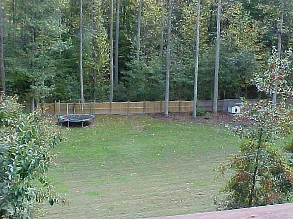 back yard