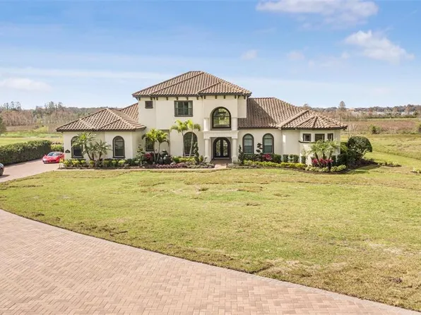 10602 Low Oak Ter, Thonotosassa, FL 33592