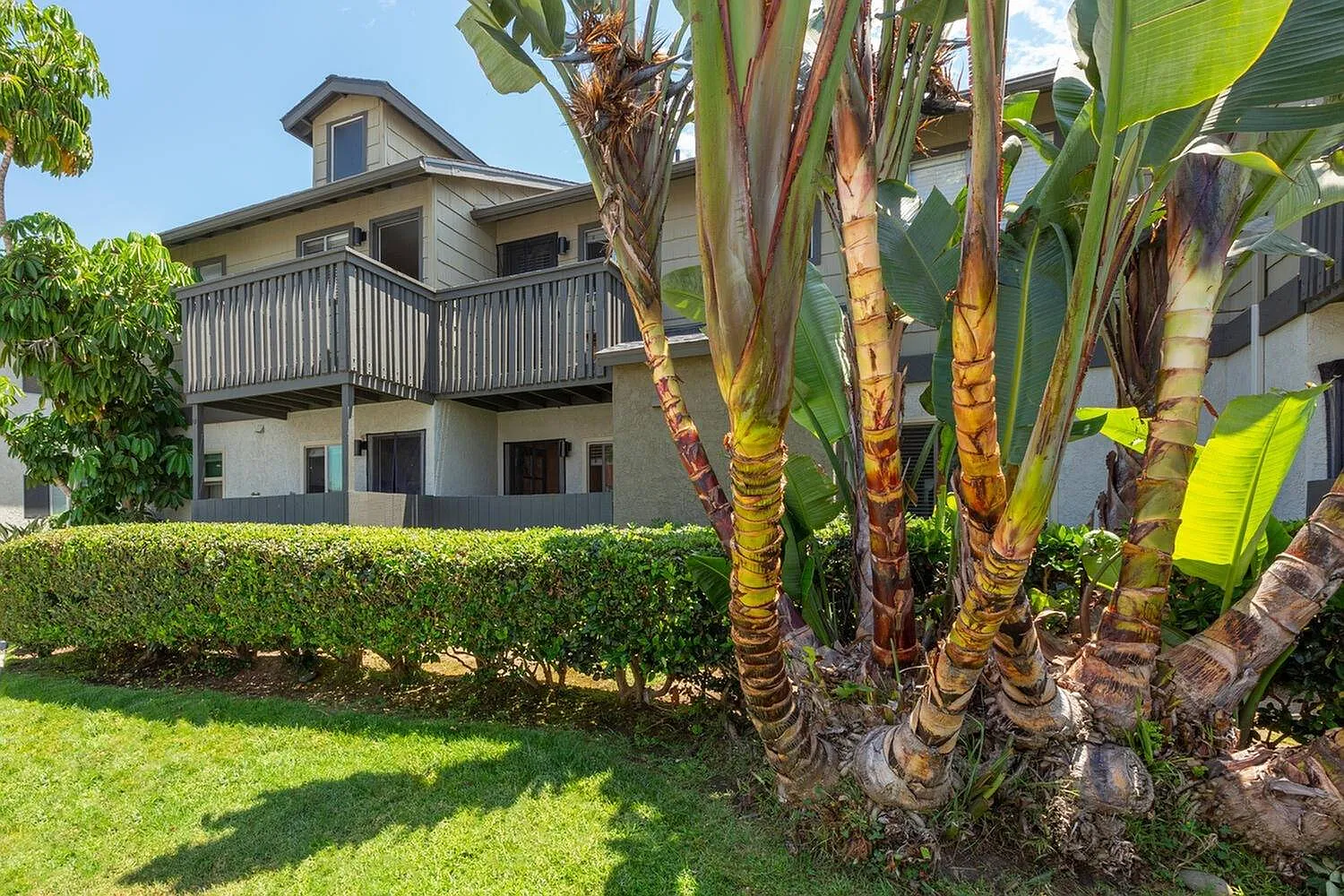 Elan Cypress Cove — Photo 4