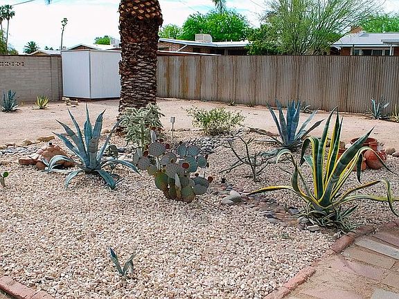 Safe back yard for dogs