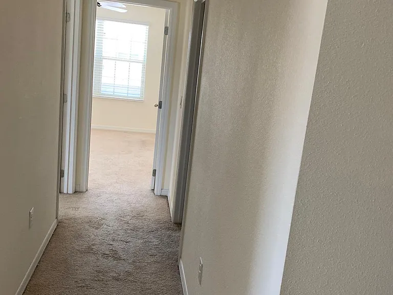 330 Misty Grove Ln — Photo 8