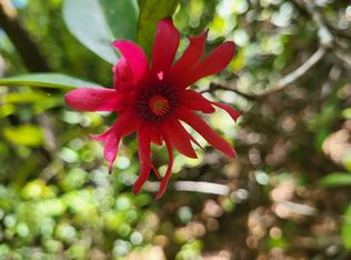 800 Florida Line Rd, Quincy, FL 32351