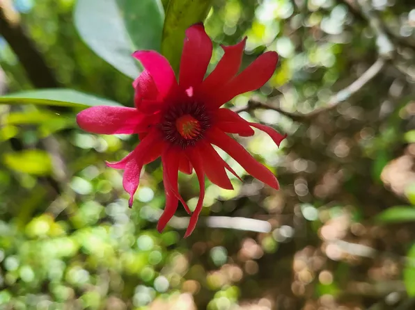 800 Florida Line Rd, Quincy, FL 32351