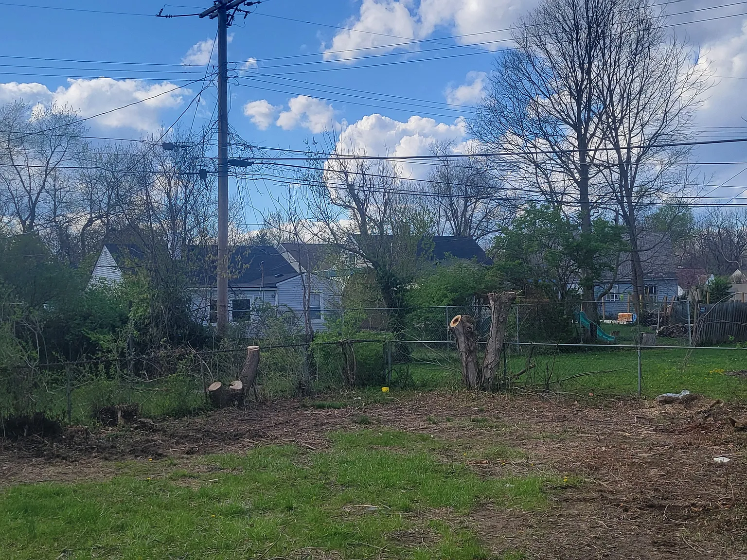 3 bed, 900 sqft, $1,650 — Photo 3