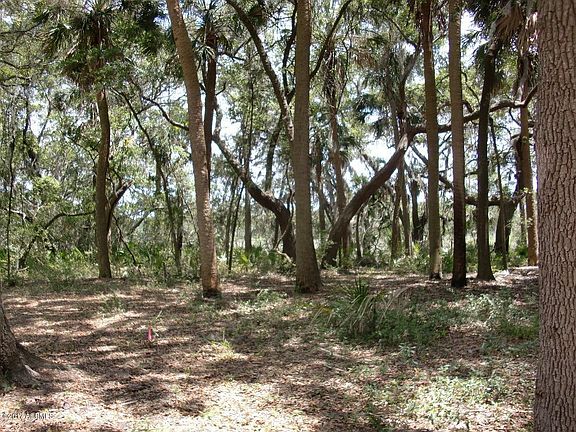 2nd image of 10 Palmetto Grove Lane