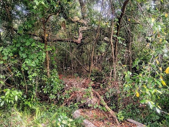 2nd image of LOT 2 Franklin St