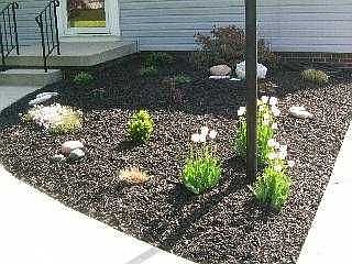 2nd image of 3708 Drummond Rd