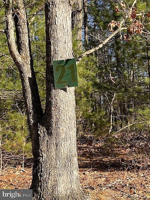 2nd image of 21 Slate Rock Pass Rd