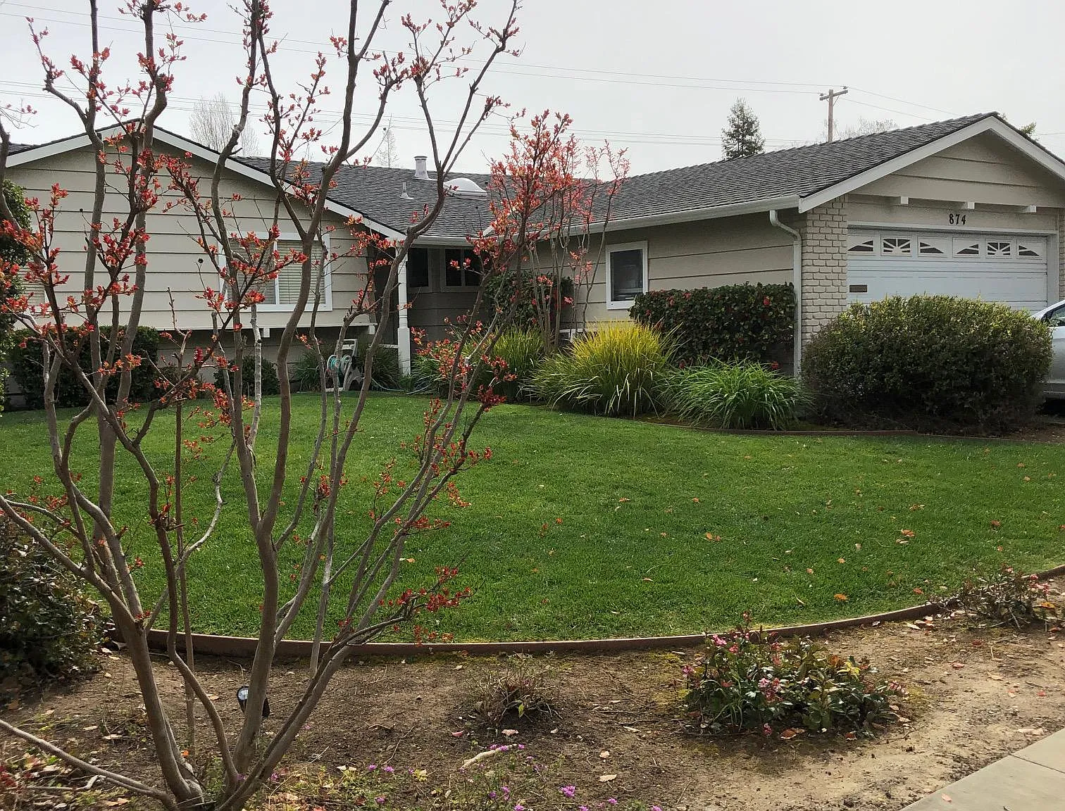 3 bed, 1234 sqft, $5,200 — Photo 1