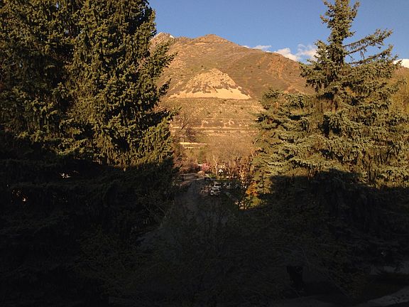 Front Yard View
