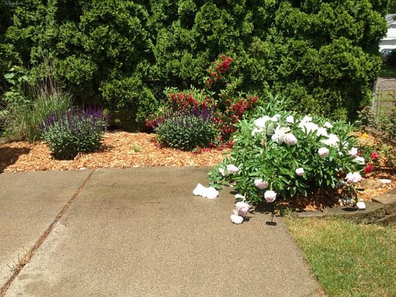 5th image of 207 Fairhills Dr