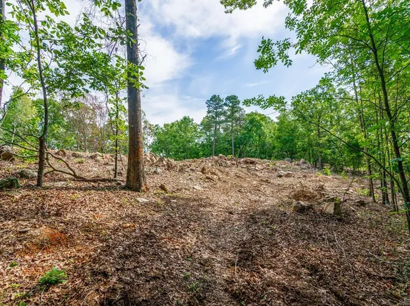 (undisclosed Address), Conway, AR 72032