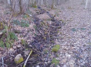 0 Rice Creek Rd, Flag Pond, TN 37657