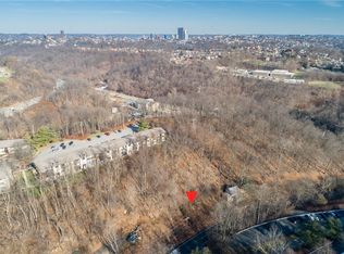 Crane Ave, Pittsburgh, PA 15220