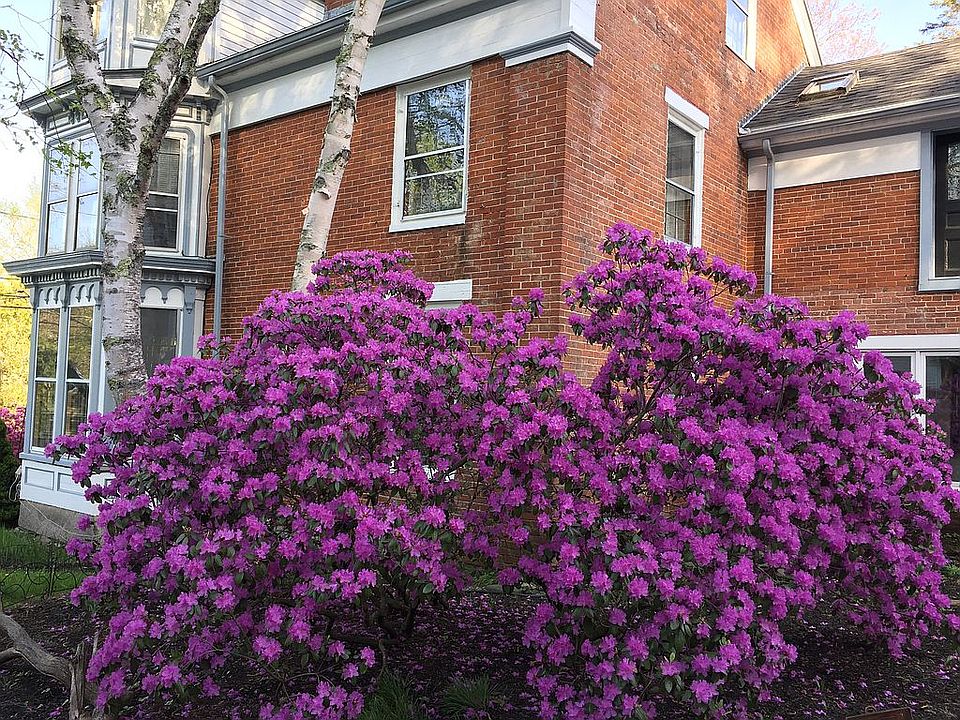 2nd image of 63 Main St