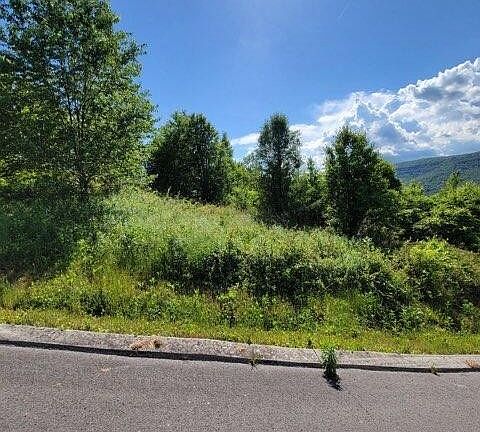 4th image of 0 Hardin Rd Lot 74