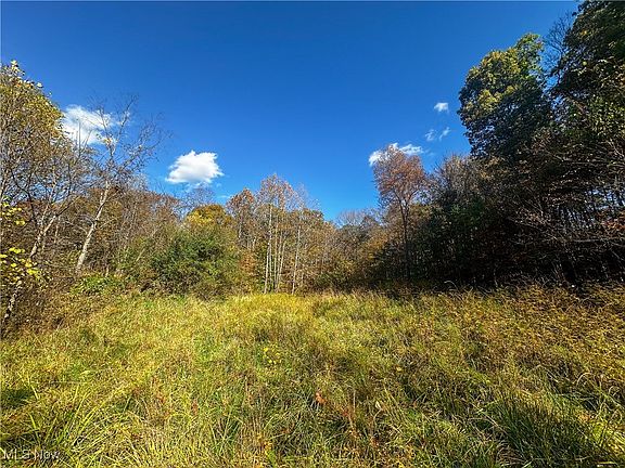 2nd image of 0 Clark Rd