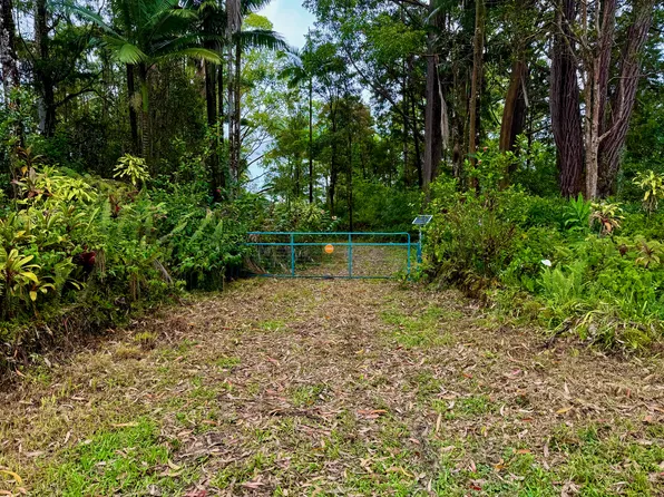 Road 1 Uhini Ana Lot 2464, Kurtistown, HI 96760