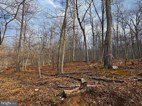 4th image of Frog Hollow Rd