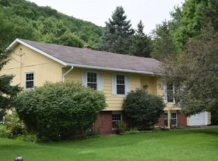 26 William St, Spencer, NY 14883