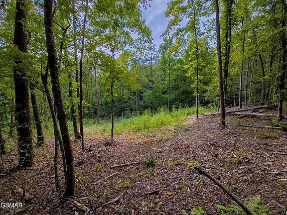 3rd image of 47353739 Jones Cove Rd Lot 1