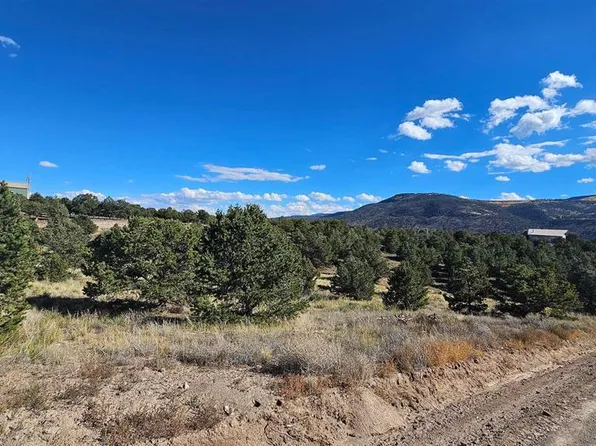 549 Milner Pass Road, South Fork, CO 81154