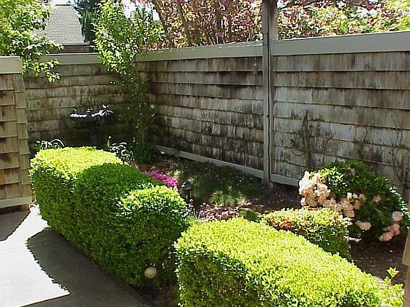 front yard